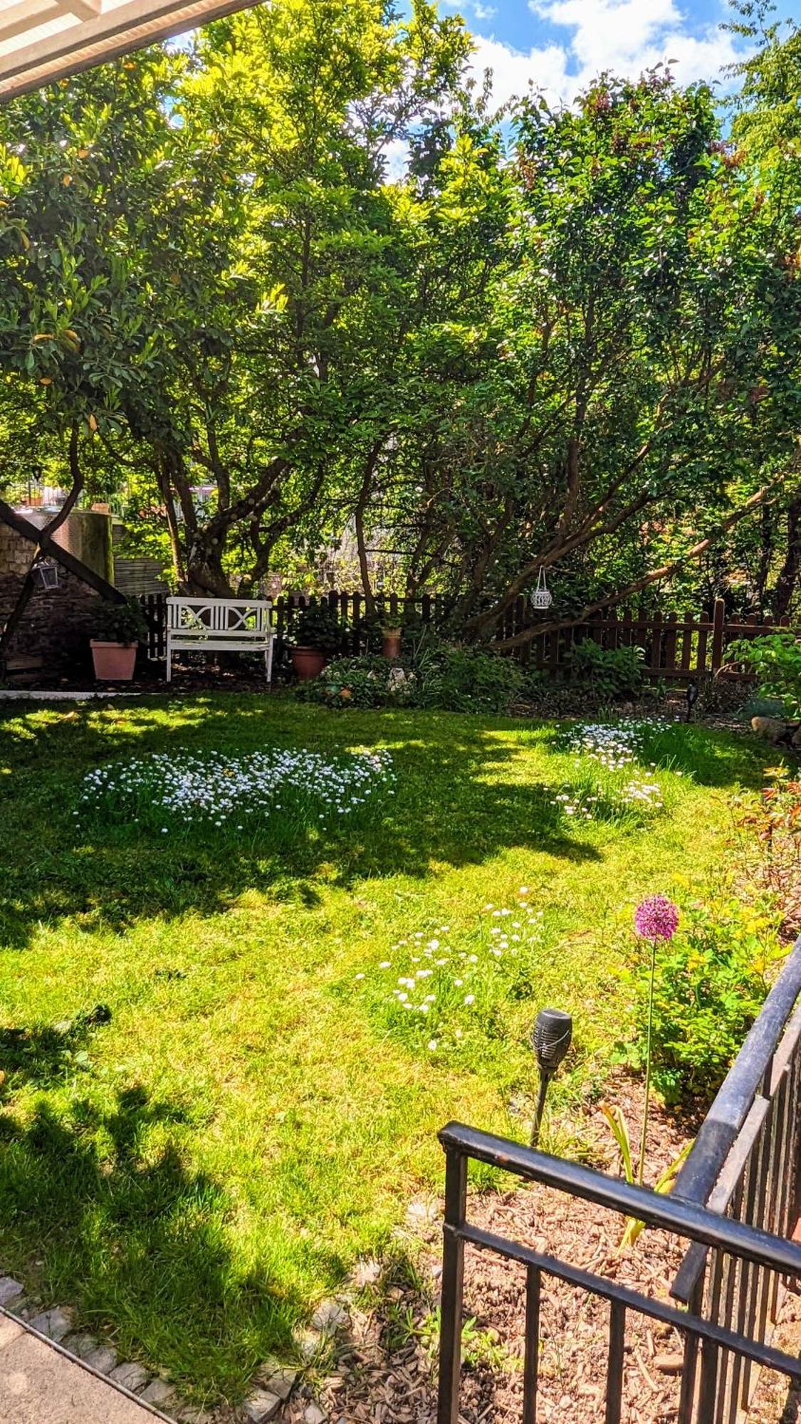 Ferienhaus Dhrontal Neumagen-Dhron Cameră foto